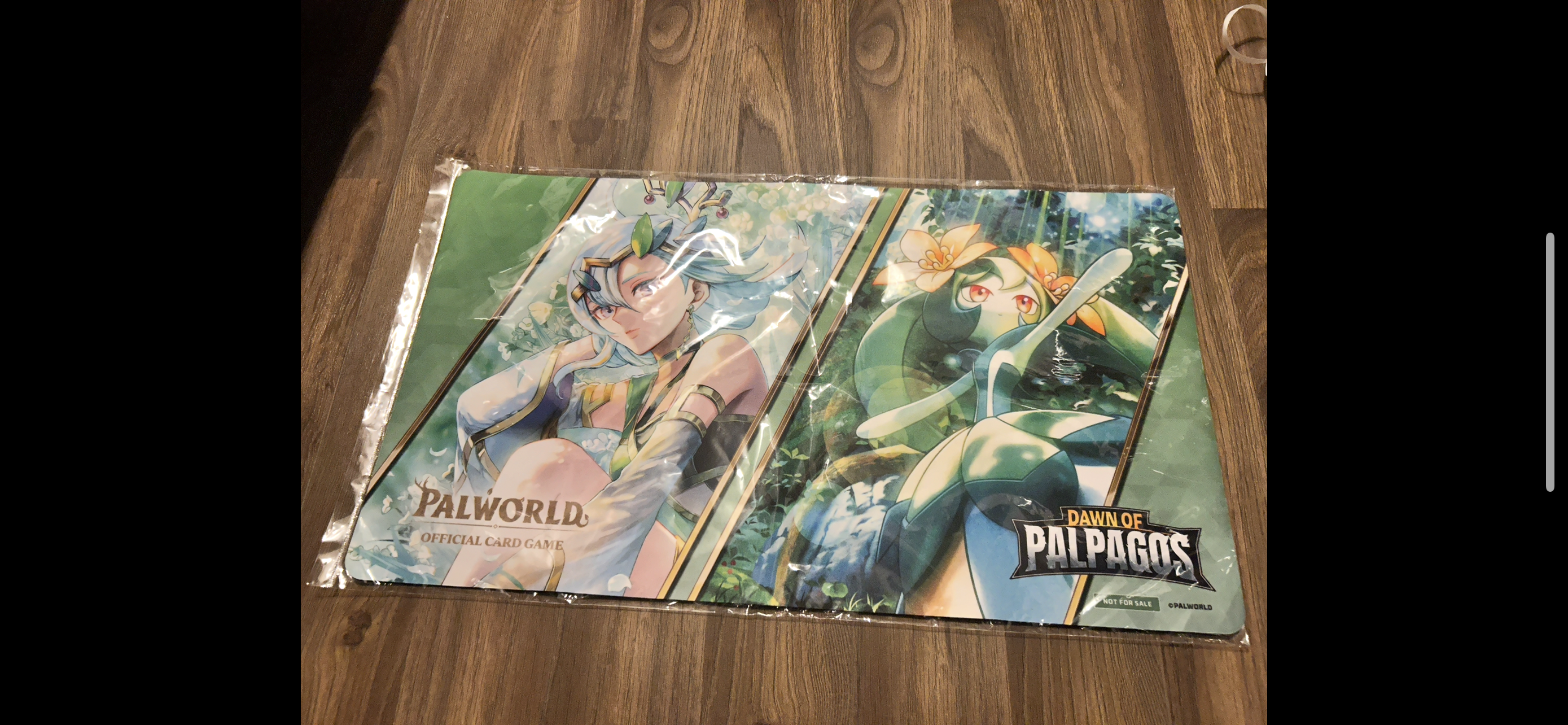 Palworld Grand Release Tournament 1st & 2nd Place Locally